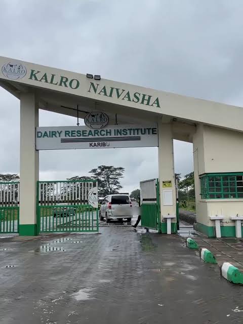 KALRO Naivasha Dairy Research Institute entrance gate