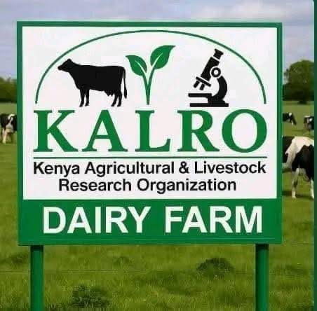KALRO Kenya Agricultural & Livestock Research Organization Dairy Farm signboard