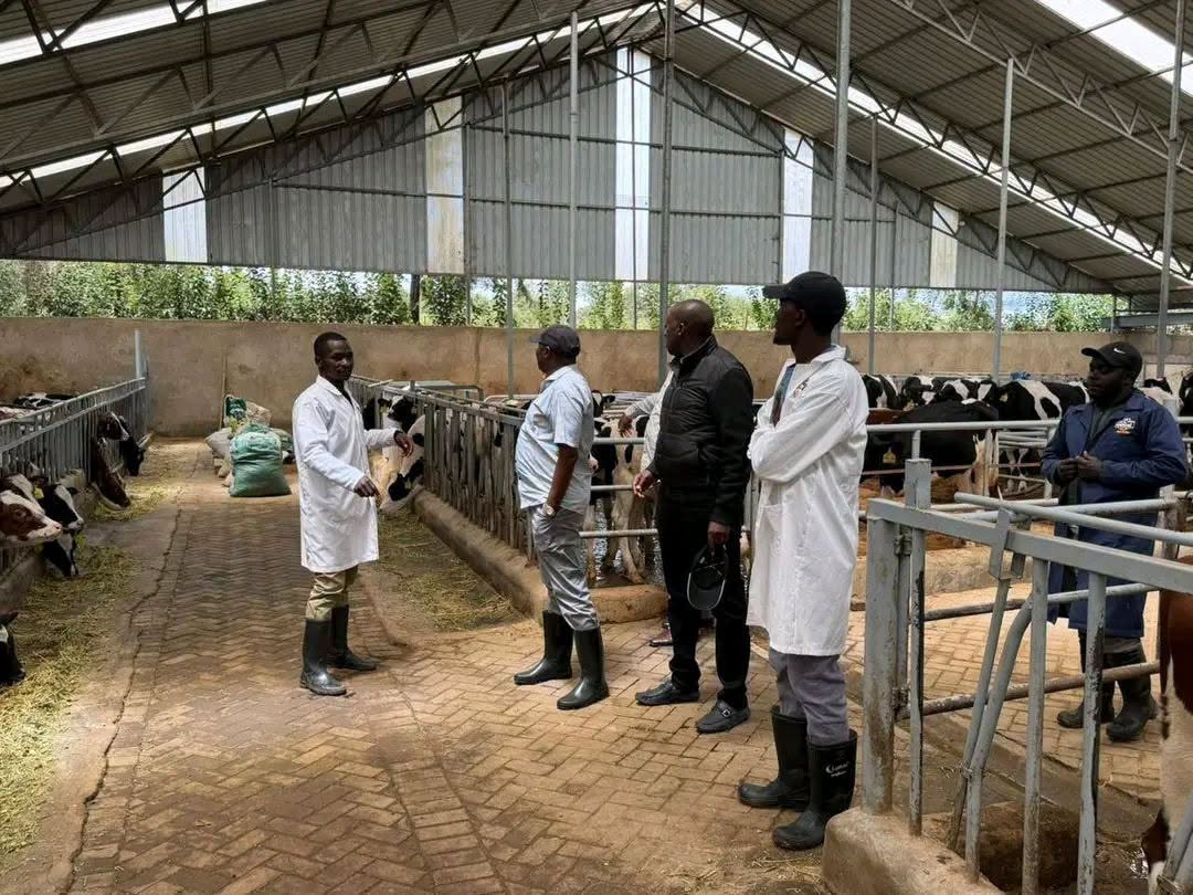 KALRO Farm Naivasha logo