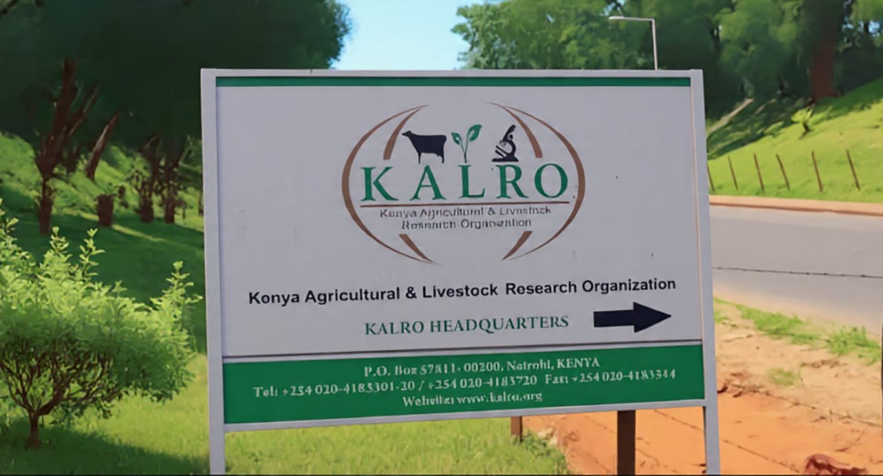 KALRO Headquarters signboard along the road